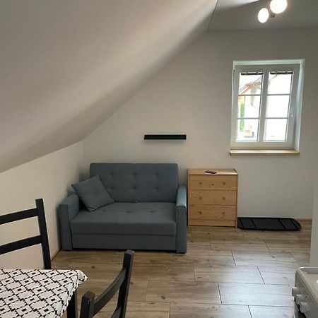 Ubytovani Spicacka Ap2 Železná Ruda Extérieur photo